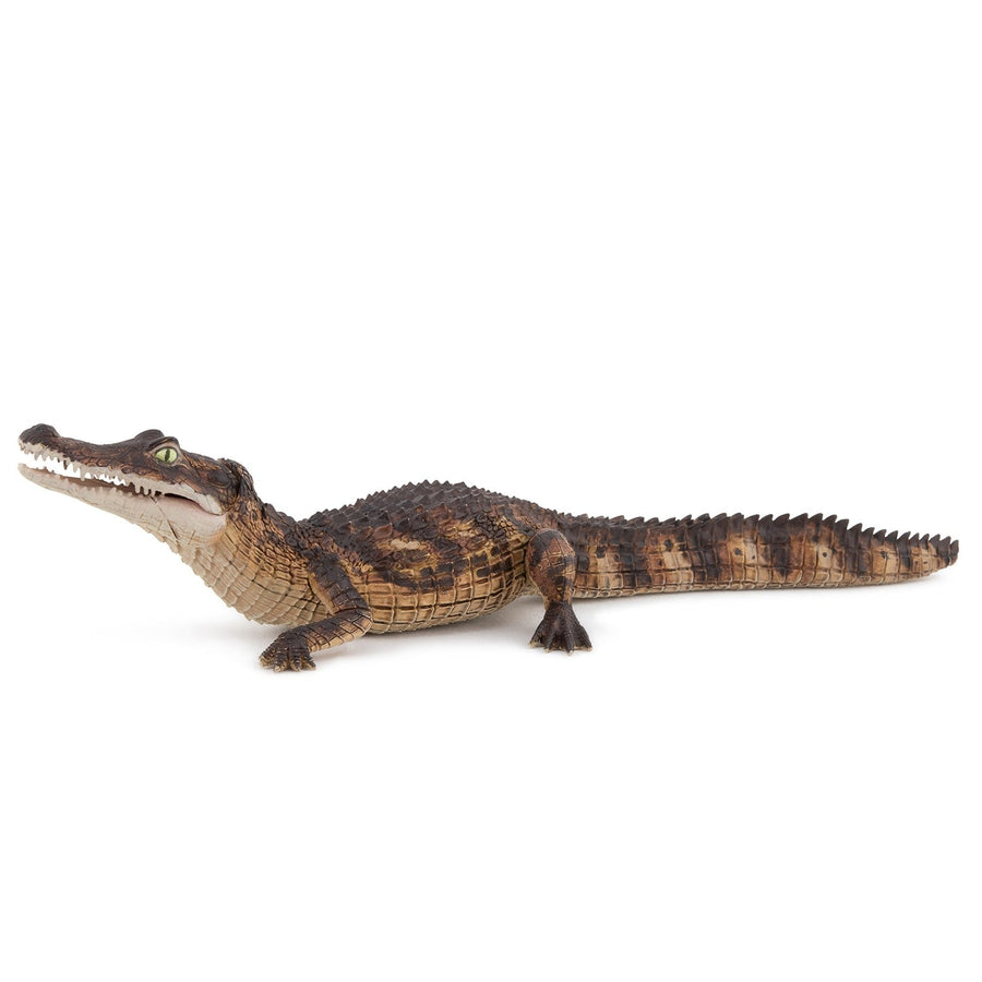 Figurine Caïman Papo en PVC, thème reptiles, Collection Animaux sauvages, jouet éducatif idéal pour enfants et collectionneurs