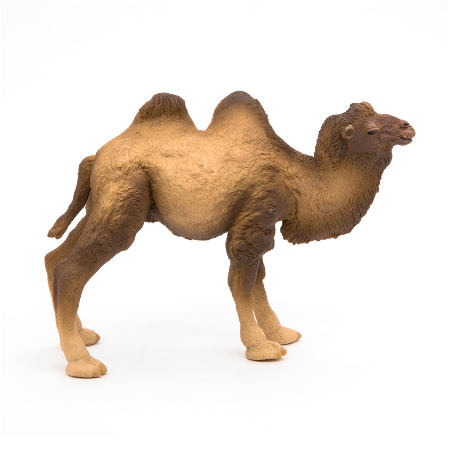 Chameau de Bactriane Papo en PVC, Collection Animaux sauvages, jouet éducatif idéal pour enfants et collectionneurs