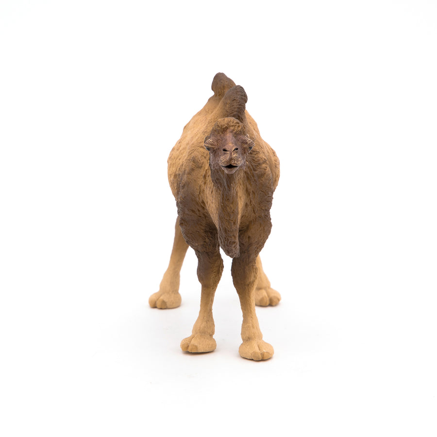 Chameau de Bactriane Papo en PVC, Collection Animaux sauvages, jouet éducatif idéal pour enfants et collectionneurs