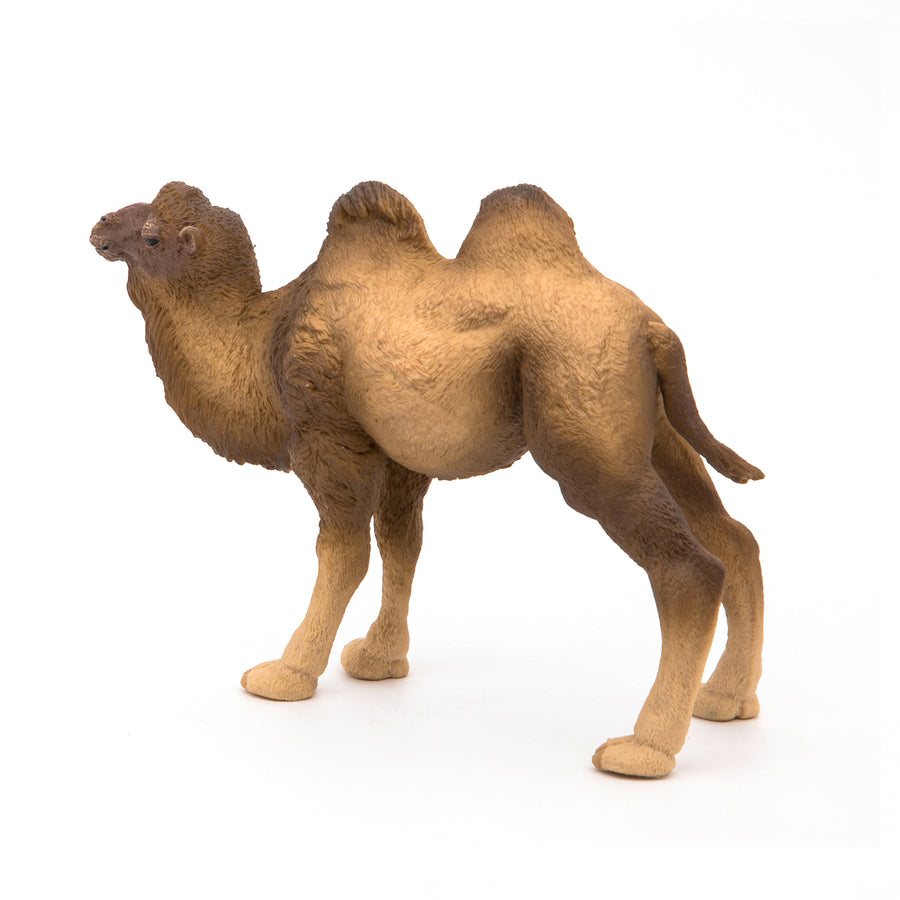 Chameau de Bactriane Papo en PVC, Collection Animaux sauvages, jouet éducatif idéal pour enfants et collectionneurs