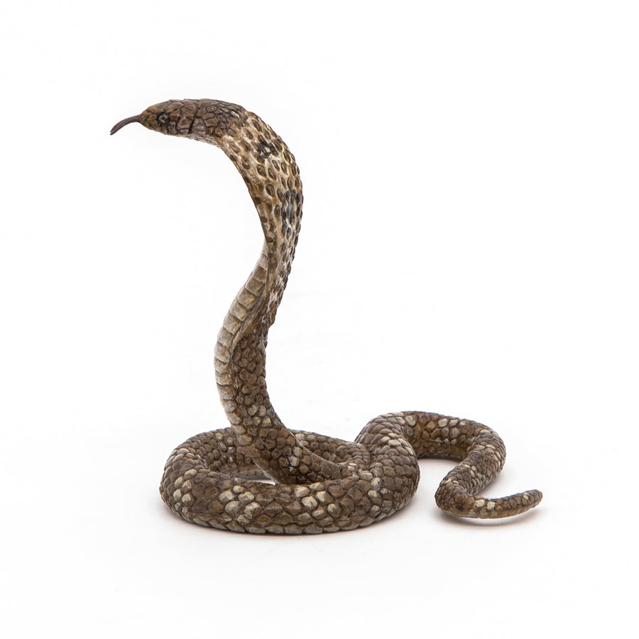 Figurine Cobra royal Papo en PVC, thème reptiles, Collection Animaux sauvages, jouet éducatif idéal pour enfants et collectionneurs