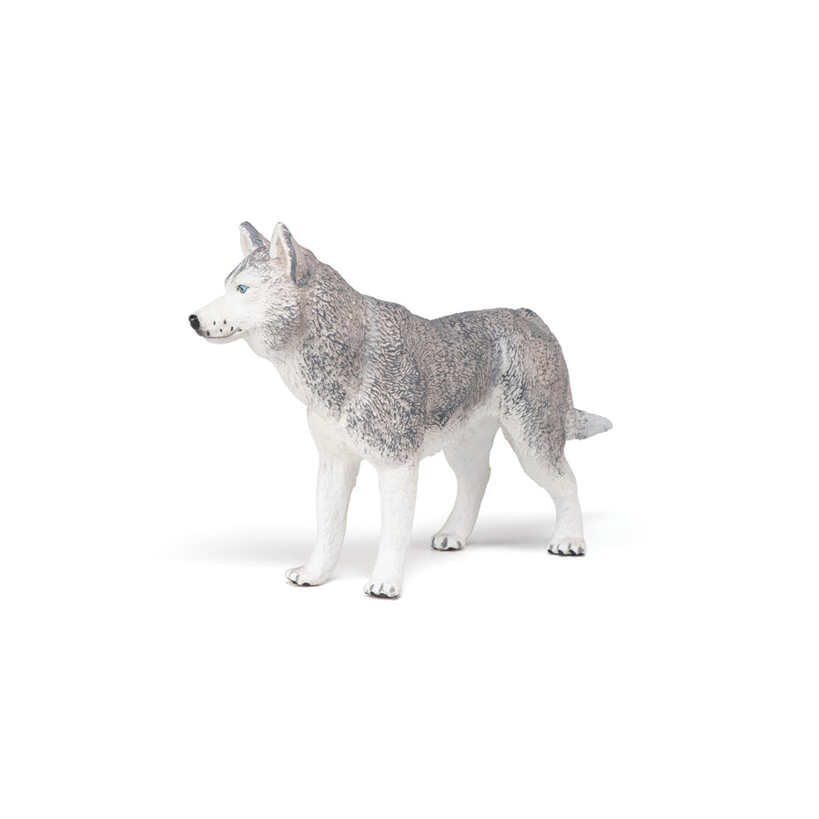 Figurine Husky de Sibérie Papo en PVC, Collection chiens et chats, jouet éducatif idéal pour enfants et collectionneurs