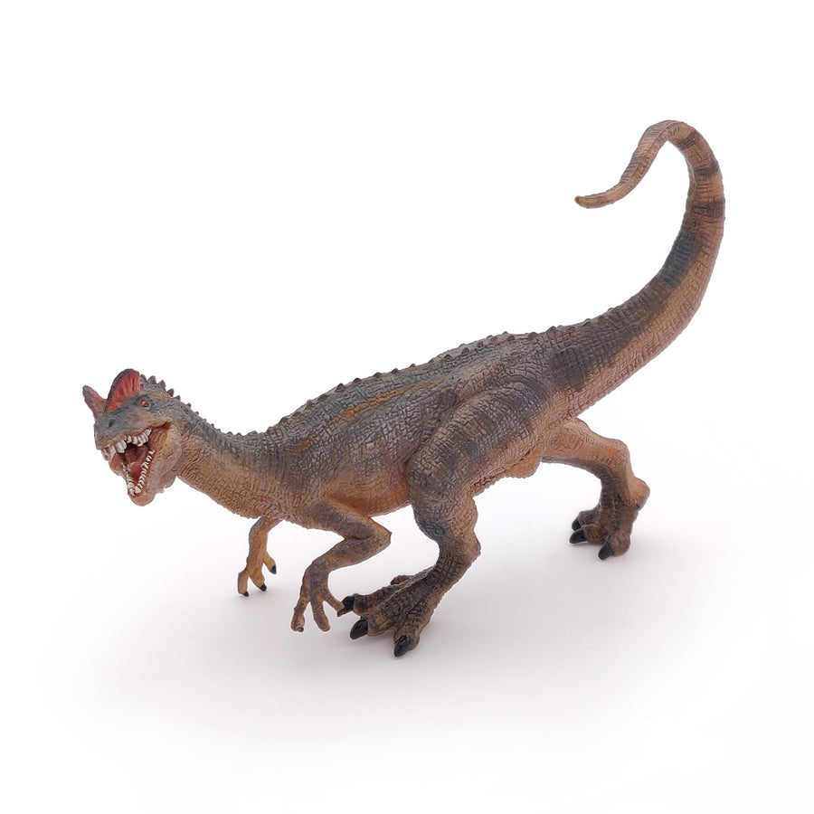 Dilophosaure Papo en PVC, Collection Dinosaures, jouet éducatif idéal pour enfants et collectionneurs