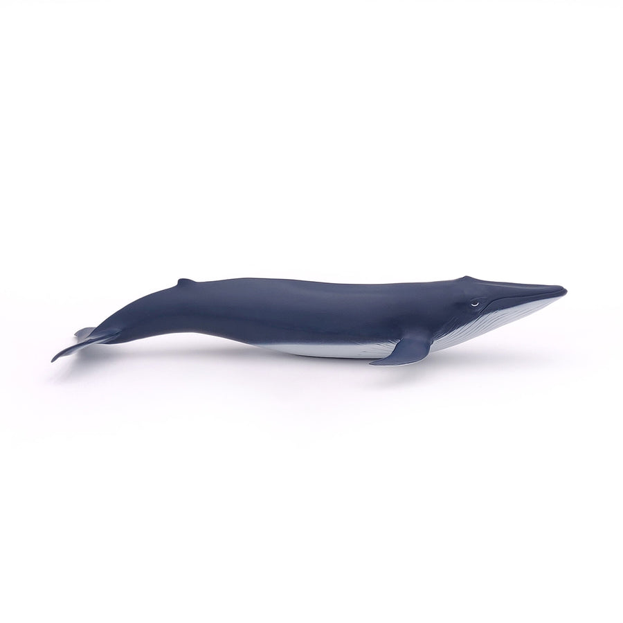 Figurine Bébé baleine bleue Papo en PVC, Collection animaux marins, jouet éducatif idéal pour enfants et collectionneurs